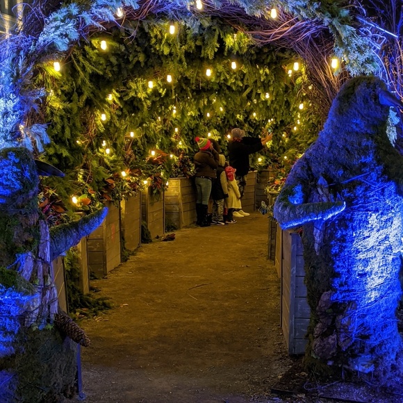 Meet your Posher, Dorsa - Picture 1 of 1